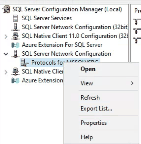 Kontextmenü auf dem Eintrag Protocols for der Instanz mit Open, View, Refresh, Export List, Properties und Help